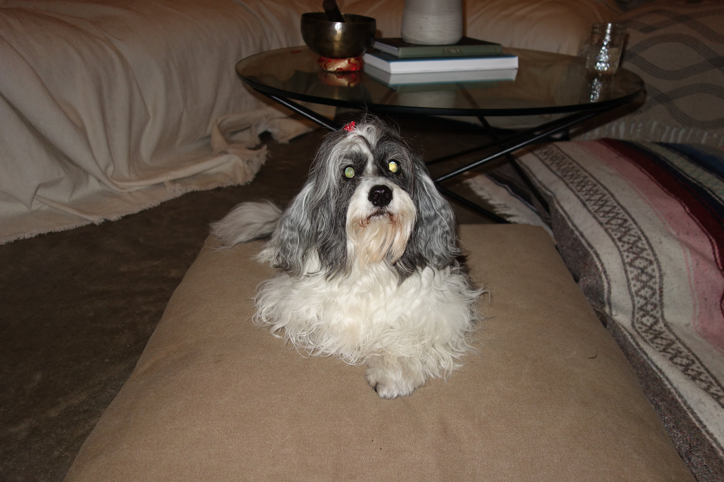 Glow Easy Starter Cleanse